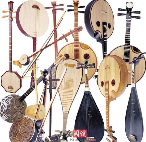 中國(guó)民族樂器教學(xué)教案(圖11)