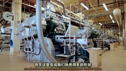 玉米粒是如何在加工廠里變身成玉米片的 工廠里究竟隱藏了怎樣的魔法機(jī)器
